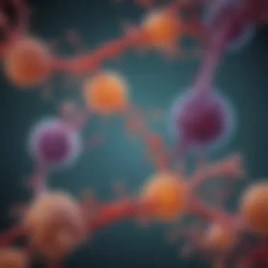 Diagram of Adenosine and Sigma Receptor Interactions Adenosine receptor interaction diagram