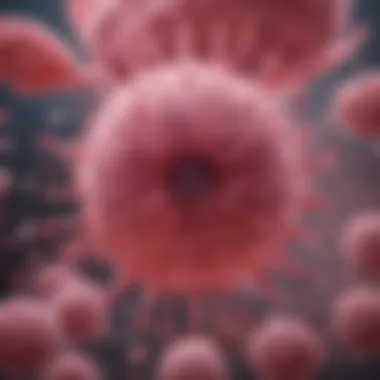 Estrogen's Impact on Breast Cancer Overview of estrogen's role in breast cancer development
