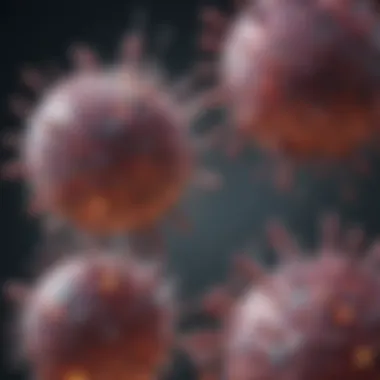 Mechanisms of Antibody Production by B Cells Mechanisms of antibody production by B cells