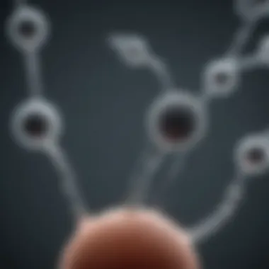 Sperm analysis techniques