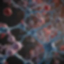Bax antibody interactions within signaling pathways