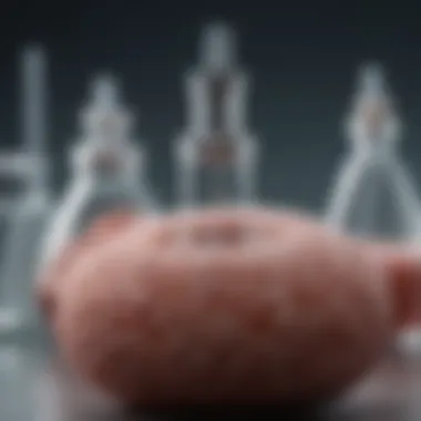 Emerging Research Trends in BCG Vaccination and Immunotherapy Current research trends in BCG vaccination