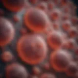 Microscopic view of liver cancer cells highlighting their aggressive nature