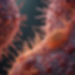 Comparison of cancer cells and normal cells at the cellular level