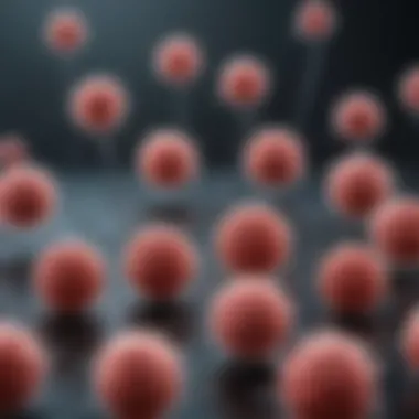 Characteristics of Cancer Cell Lines Chart depicting characteristics of various cancer cell lines
