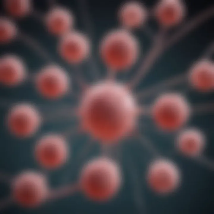 Diagram illustrating the role of cancer cell lines in drug testing