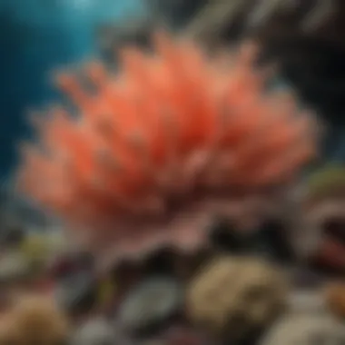 Impact of Climate Change on Coral Ecosystems Illustration of the effects of climate change on coral reefs