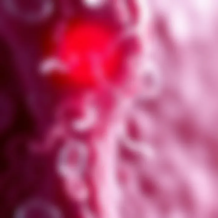 Illustration of cellular mechanisms in fibrosis