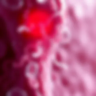 Cellular Mechanisms of Dermal Fibrosis Illustration of cellular mechanisms in fibrosis