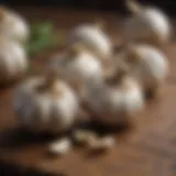 Freshly harvested garlic bulbs on a rustic wooden table.