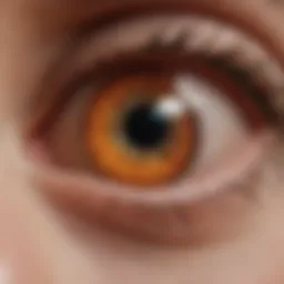 An illustration depicting the retinal changes associated with diabetic retinal myopathy