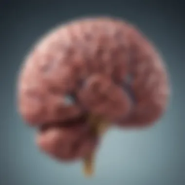 Diagnostic Approaches for Gangliogliomas Flowchart of diagnostic methods for gangliogliomas