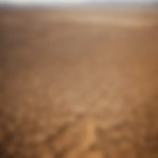 Aerial view of a drought-affected landscape