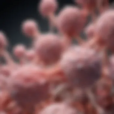 Genetic Mutations in Cancer Development Diagram illustrating genetic mutations involved in cancer development
