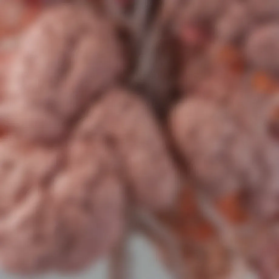 Visual representation of the gut-brain connection