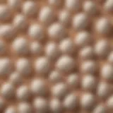 Close-up view of eggshell calcium granules showing their texture.