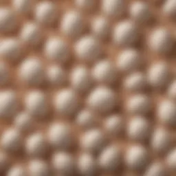 Close-up view of eggshell calcium granules showing their texture.