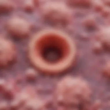 Illustration depicting the eosinophilic infiltration in tissue