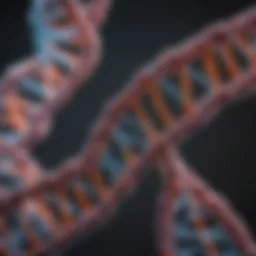 A DNA double helix structure with molecular models surrounding it