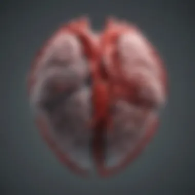 A visual representation of the brain and heart interconnected