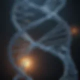 An intricate DNA double helix structure showcasing genetic information