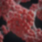 Illustration depicting the molecular structure of hemoglobin