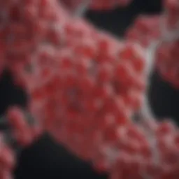 Illustration depicting the molecular structure of hemoglobin