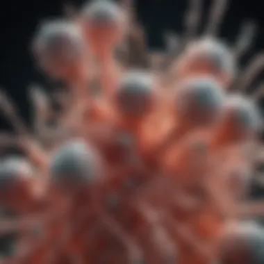 Mechanisms of Infection by Mycobacterium Mechanisms of infection by Mycobacterium