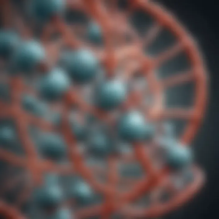 Graphical representation of Na+,K+-ATPase enzyme function