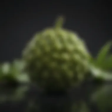 Noni fruit with a rich green background