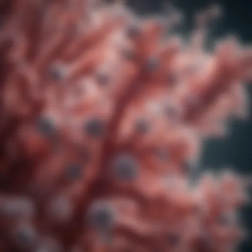 Close-up of MRSA bacteria under a microscope