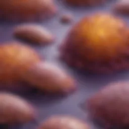 A detailed overview of pancreatic cancer stages depicted through a diagnostic chart.
