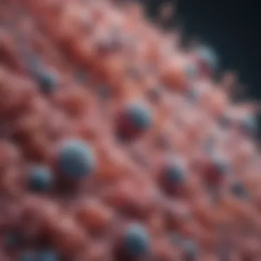 Microscopic view of probiotic bacteria