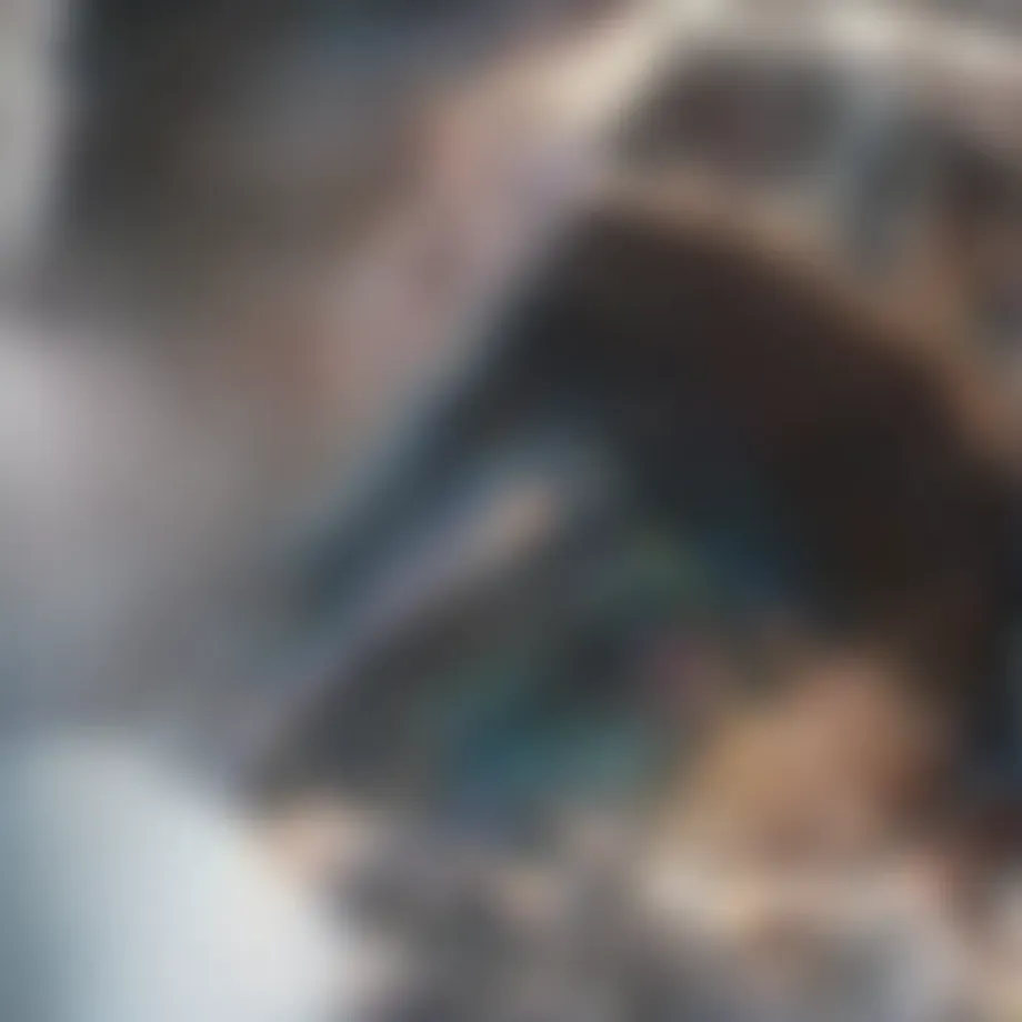 Overview of European software development landscape