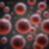 Detailed representation of stem cell types and their functions