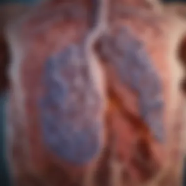 Genetic and Environmental Interplay in COPD Diagram showing the interaction of genetics and environment in COPD