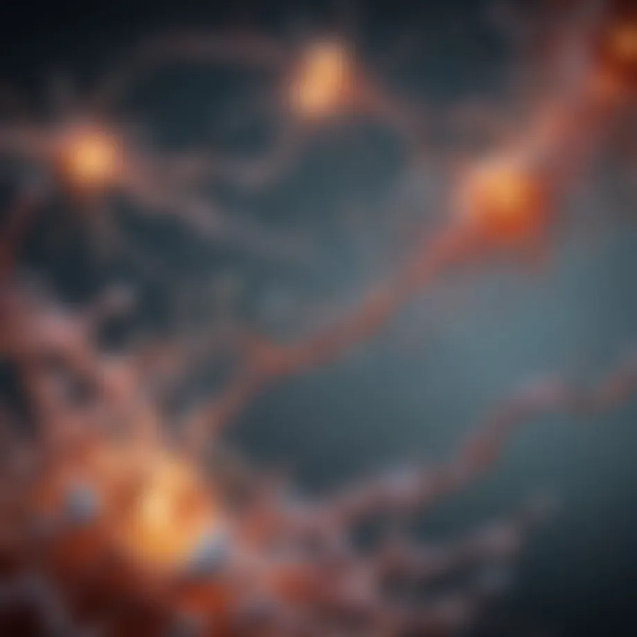 Diagram illustrating the ubiquitin-proteasome pathway