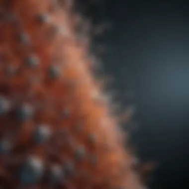 Unique Microarchitecture of Porous Polymers Porous polymer structure showcasing its unique microarchitecture