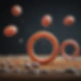 Life cycle stages of Toxoplasma gondii