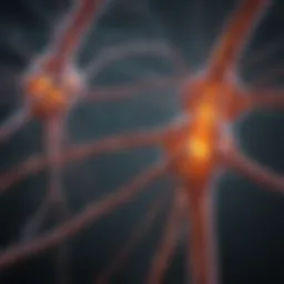 Visual representation of neural pathways affected by multiple sclerosis.