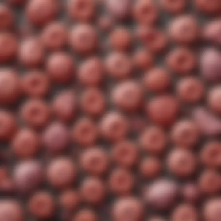 Graph illustrating myeloproliferative neoplasms classifications