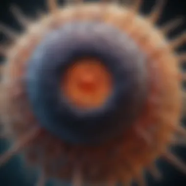 Digital Cell Visualization A digital representation of a cell viewed through a virtual microscope
