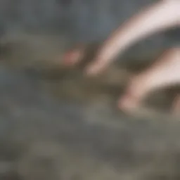 Natural herbs known for UTI relief