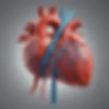 Diagram illustrating the relationship between hypertensive heart disease and chronic kidney disease.