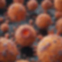 Microscopic view of inflammatory carcinoma cells