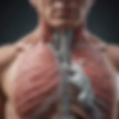 Understanding the Mechanism of Inhaled Corticosteroids Inhaled corticosteroids mechanism of action