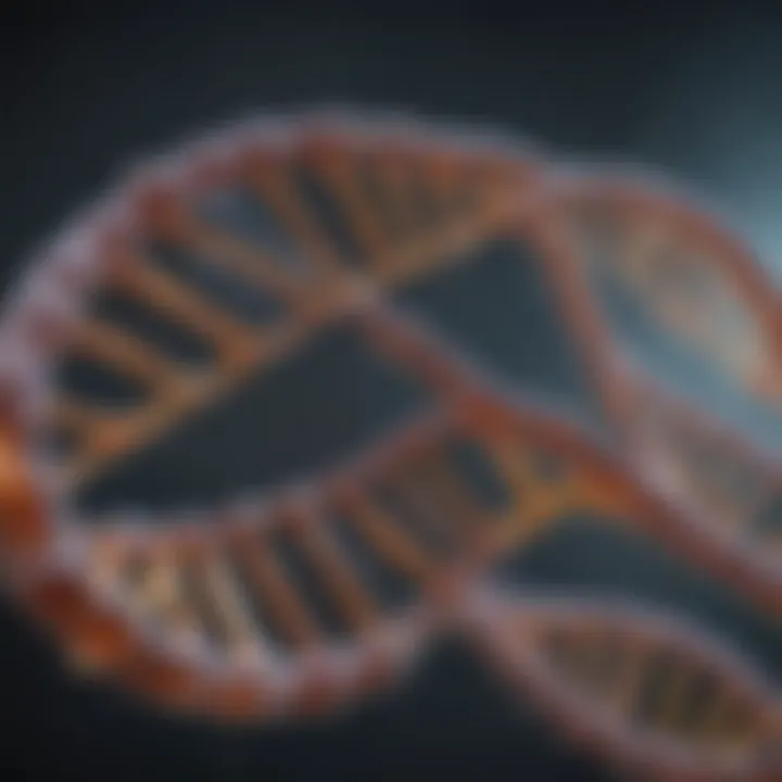 Diagram illustrating DNA replication process