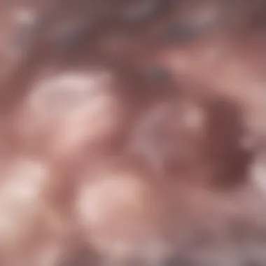Microscopic Examination of Sperm Bacteria Microscopic view of bacteria in sperm