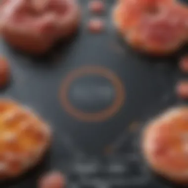 Diagram of metabolic processes influenced by keto