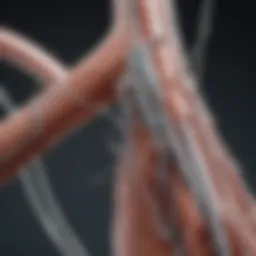 Advanced mechanical thrombectomy catheter showcasing innovative design